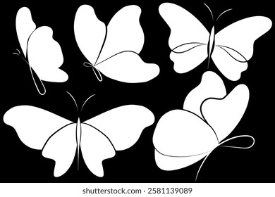 Hand draw butterfly. White butterfly silhouette with black linear, in black background. Vector illustration. EPS 10.