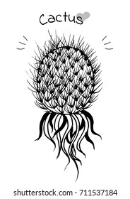 Hand draw cactus