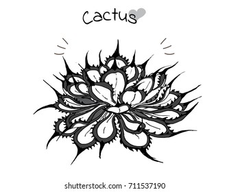 Hand draw cactus