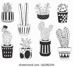 Hand draw Cactus set
