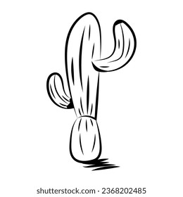 hand draw cactus vector isolated