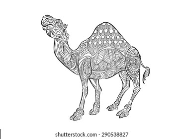 Hand draw of Camel in zentangle style