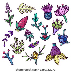 Hand draw cartoon set of exotic flovers and plants. Colorful vector isolated trippy plants. Flowers botanical art set.