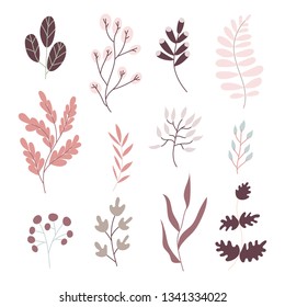 Hand draw cartoon set. Flovers and plants, leaves, stalks. Colorful vector isolated plants. Flowers botanical art set. Vector.