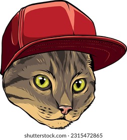 hand draw of cat head vector illustration design