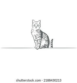 hand draw cat vector illustration  