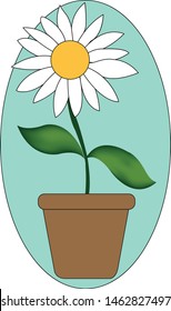 hand draw chamomile in flowerpot