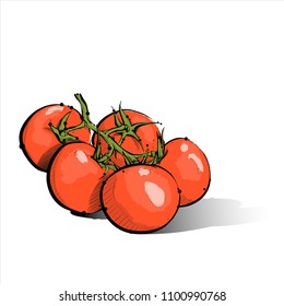 Hand Draw Of Cherry Tomato. Vector Illustration.