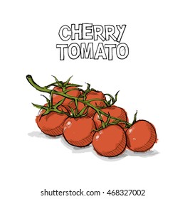 Hand draw of cherry tomato. Vector illustration.