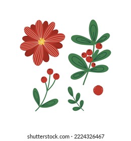 Hand draw Christmas floral elements.Winter plants.Decor for New Year and hristmas.