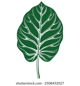 hand draw colocasia leaf alone isolation only one colocasia leaf