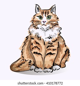 Hand draw colored cat in sketch style like watercolor. Vector illustration.