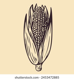 Dibujo a mano mazorca de maíz con hojas en estilo monocromo boceto. Agricultura planta orgánica. Grabado de Ilustración vectorial vintage.