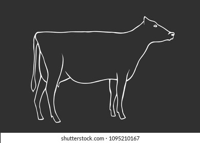 Hand Draw Cow Outline Vector Illustration