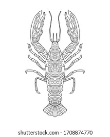 Lobster Engraving Vector Illustration Hand Drawn Stock Vector (Royalty ...