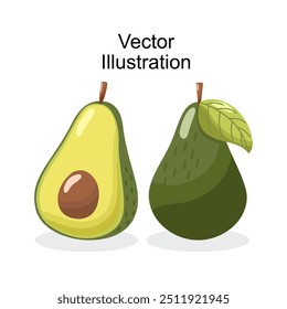 Hand draw cute avocado fruit vector design. Whole, half, slices. Fresh green color. Set of element fruits. Cartoon style. Avocado with seed and without seed. tropical fruit for logo, label, packaging,