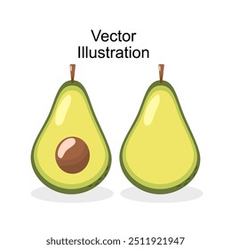 Hand draw cute avocado fruit vector design. Whole, half, slices. Fresh green color. Set of element fruits. Cartoon style. Avocado with seed and without seed. tropical fruit for logo, label, packaging,