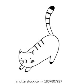 Hand draw cute cat in sketch style. Doodle style. Vector illustration isolated on a white background. 
