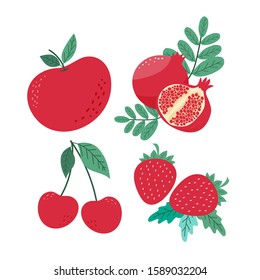 Hand draw cute red apple, pomegranate, cherry and strawberry isolated on white background. Vector illustration.