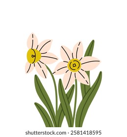 Hand draw Daffodil flower. Illustration of spring flowers.