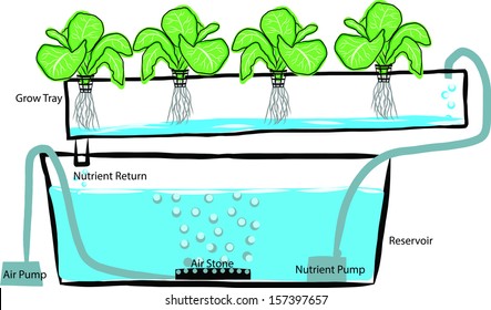 Hand draw diagram of a hydroponics setup