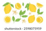 Hand draw different lemons set collection.