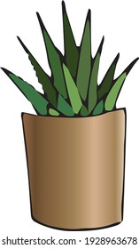Dibujar a mano cactus digitales en la olla. Cactus coloridos. Vintage