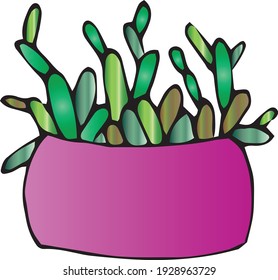 Hand draw digital cactus in pot. Colorful cacti. Vintage