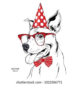 Hand draw dog in a celebratory cap. Vector illustration