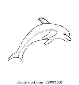 hand draw a dolphin jumping in the style of the sketch to design cards, posters, coloring books on a white background