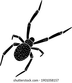 Hand draw doodle black spider. Vector illustration. Icon.