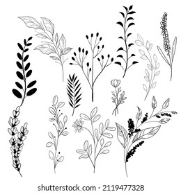 Hand draw doodle plant vector set