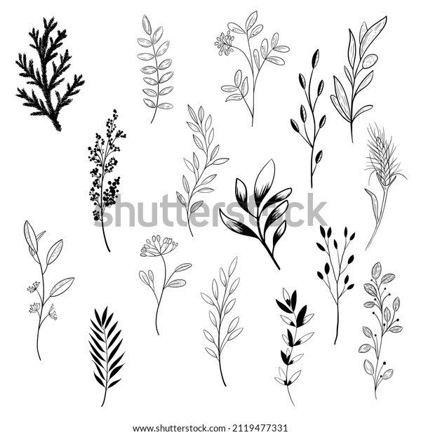 Hand Draw Doodle Plant Vector Set Stock Vector (Royalty Free ...