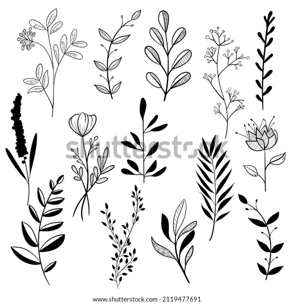 Hand Draw Doodle Plant Vector Set Stock Vector (Royalty Free ...