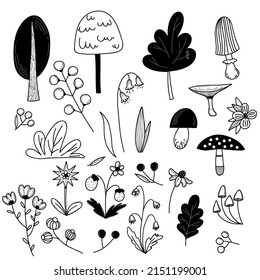hand draw doodle.set of vector images. nature, trees, mushrooms,flowers, berries 