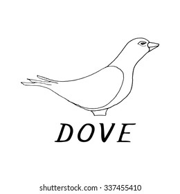 Hand draw dove style sketch on a black white background, used for banners, flyers, coloring books, tattoo