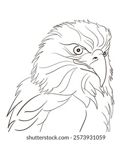 hand draw eagle head  black and white art