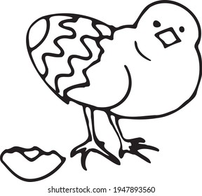 Hand draw Easter illustration. Outline Easter cute chick