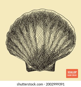 Hand draw engrave shell isolated illustration, Vector vintage for menu, label