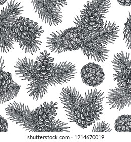 christmas pine fir tree branches cones stock vector royalty free