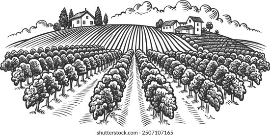 Hand draw engraving vineyards field