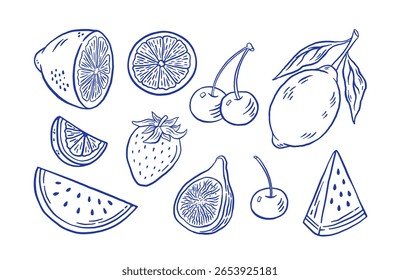 Hand draw farmer fruit vector illustration. Doodle watermelon, strawberry, fig, lemon, citrus icons. Vegan healthy food