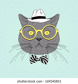 Hand draw fashion portrait of brithish shorthair cat hipster