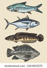 hand draw fish colour collection vector illustration