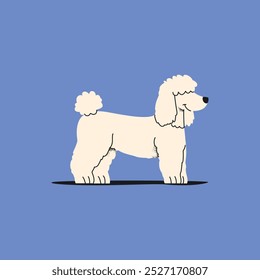 Hand Draw Flat Poodle Dog vector stock illustration, Puppy, Dog