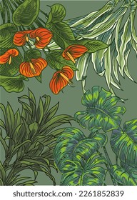 hand draw Floral collection vector illustration colour
