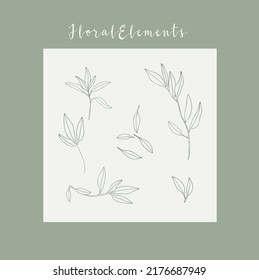 Hand draw floral decoration elements