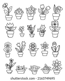  hand draw floral with pot and botanical icon,elements,hand drawn,doodle,clipart.vector illustration