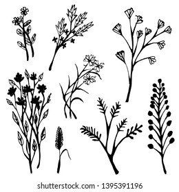 Hand draw floral vector for decoration.