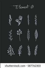 Hand Draw Flower And Leaf Element Vector Illustrator